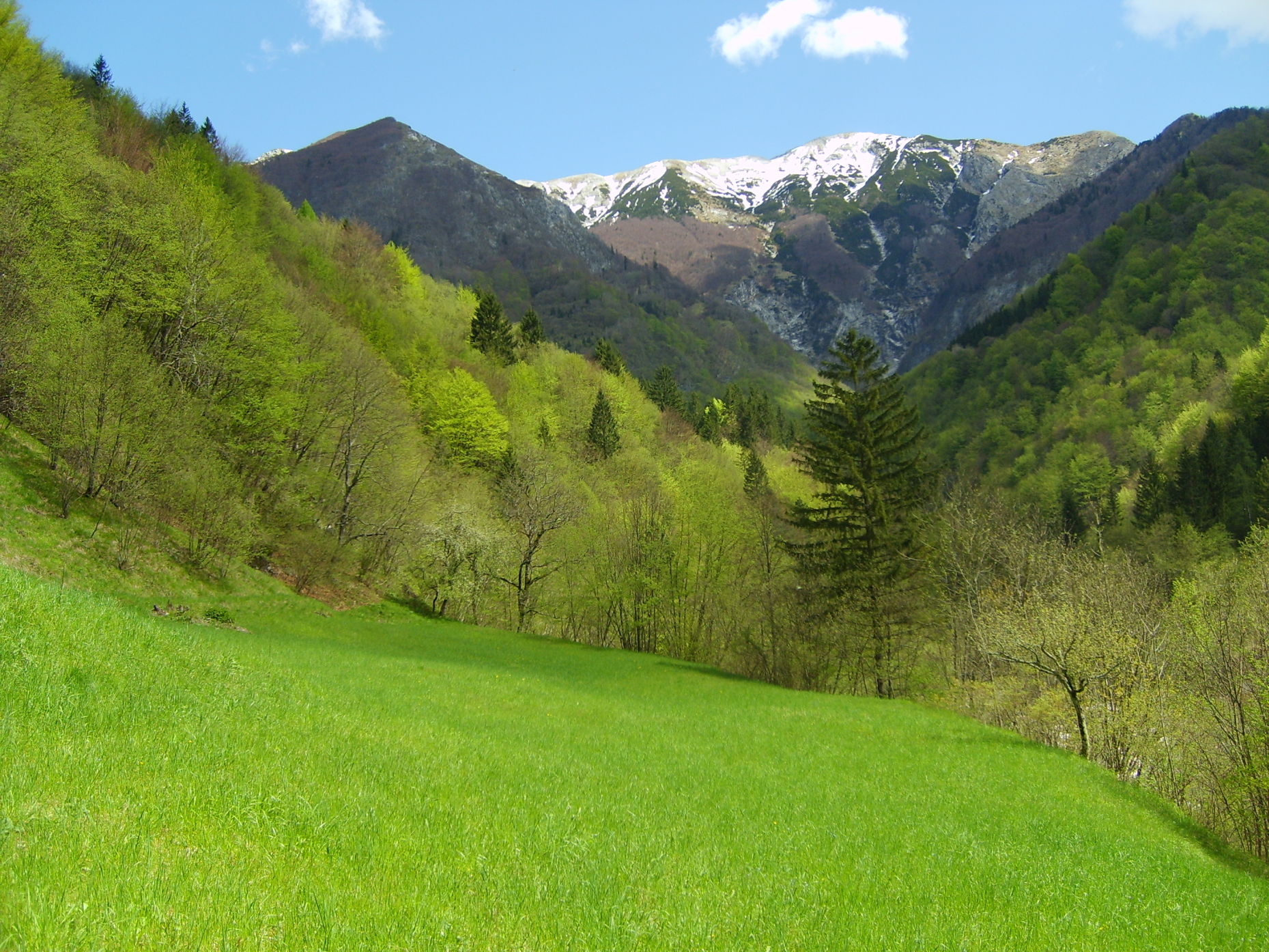nakljucna slika